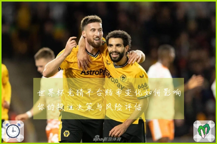 世界杯竞猜平台赔率变化如何影响你的投注决策与风险评估