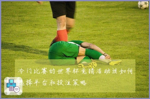 冷门比赛的世界杯竞猜活动该如何选择平台和投注策略