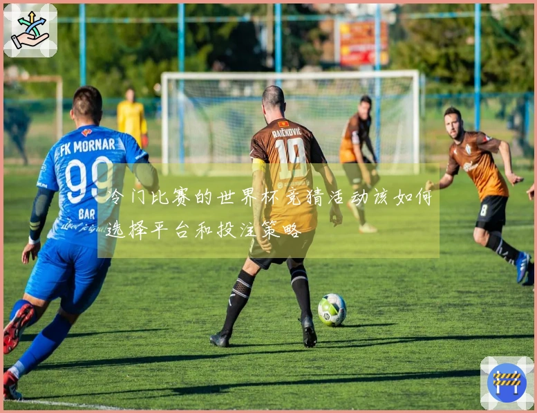 冷门比赛的世界杯竞猜活动该如何选择平台和投注策略