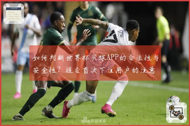 如何判断世界杯买球APP的合法性与安全性？适合首次下注用户的注意事项